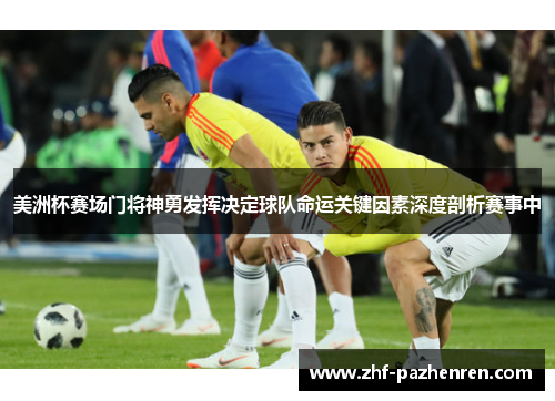美洲杯赛场门将神勇发挥决定球队命运关键因素深度剖析赛事中