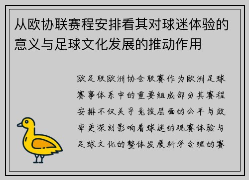 从欧协联赛程安排看其对球迷体验的意义与足球文化发展的推动作用